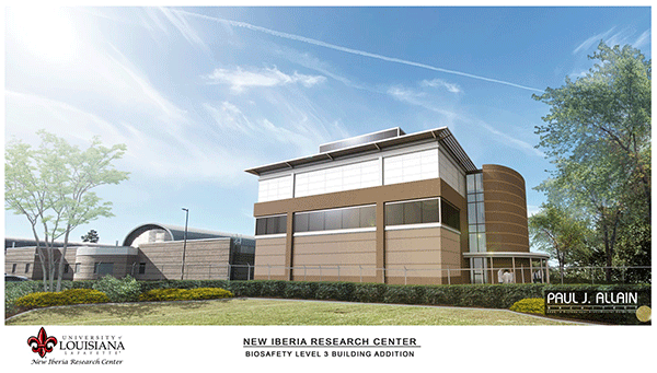New Iberia Research Center